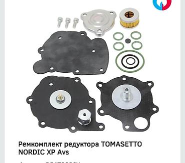 alaska: Комплект для ремонта редуктора Tomasetto Alaska, включающий в себя — 7