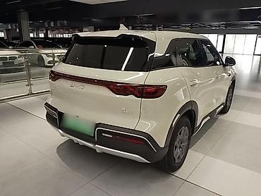 BYD: BYD Yuan Up: 2024 г., Электромобиль — 12