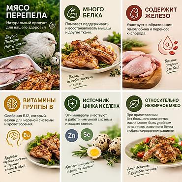 Перепелка: Продаю мясо перепела, натуральные корма с Халал сертификацией, забой — 2