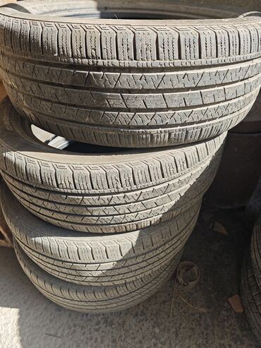 дисктер 14: 235/55R19