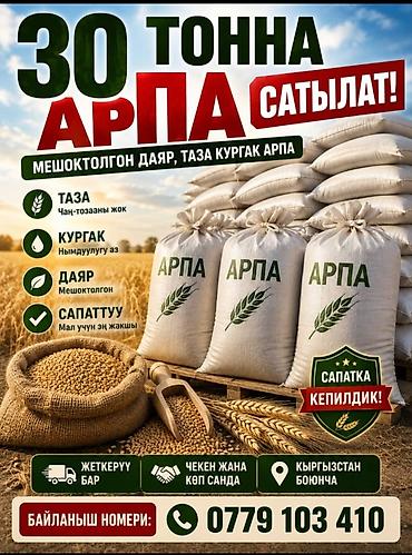 Ячмень в мешках — 30 тонн - Чистый: без пыли и примесей - Сухой