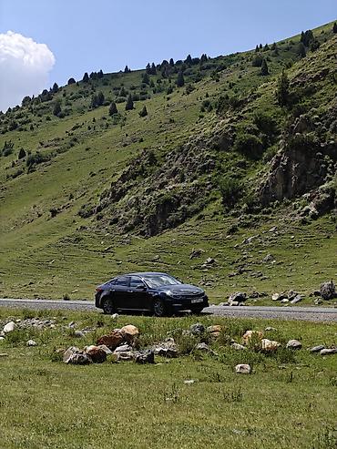 лт 55: Kia K5: 2019 г., 2 л, Автомат, Газ, Седан — 5