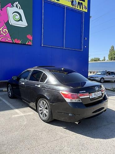чехлы бу: Honda Accord: 2011 г., 3.5 л, Автомат, Бензин, Седан — 4