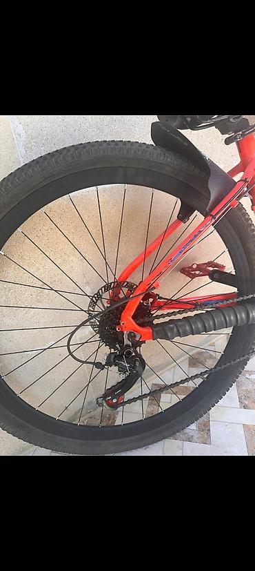 velosiped motor: Barter yalnız iphone 13 pro İdman/dağ velosipedi – Isma tornado 7.3 — 3