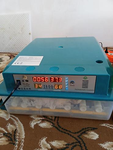 ınqbator: Bu tam avtomatik inkubator yumurtaların inkubasiyası üçün nəzərdə — 4