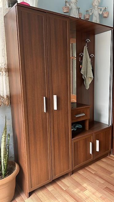 Dəhliz dolabları: İşlənmiş, 2 qapılı, Güzgülü, Qəhvəyi, Açılan, Düz dolab — 2