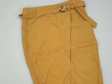 prasowanie plisowanej spódnicy: Women`s skirt, size M (EU 38)