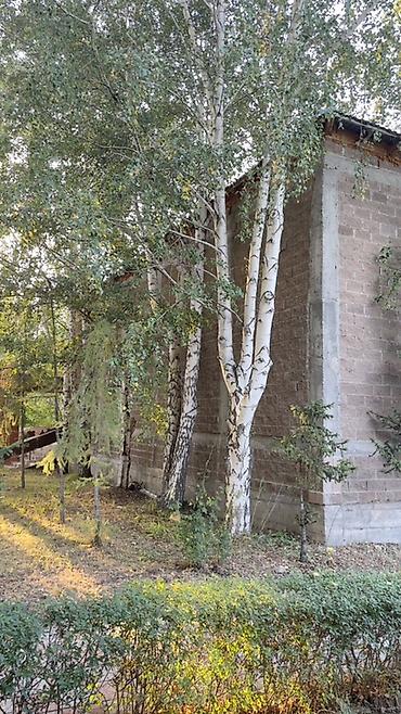 Продажа зданий: Здание, 1072 м² — 8