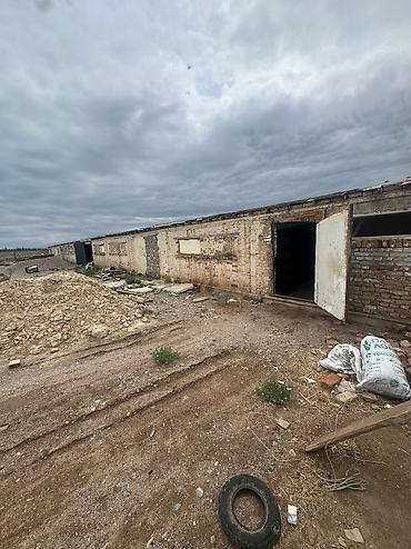 Продажа сельхоз предприятий: Продаю действующий бизнес птицефабрику вместе с курами, полностью — 5