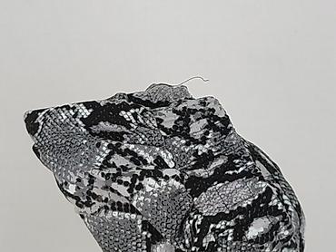 lians: Szorty damskie, rozmiar XL — 6
