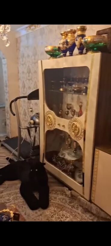 Mənzillərin satışı: Memar Əcəmidə 2 otaqlı ev kirayə verilir uzun müddətli ev tam