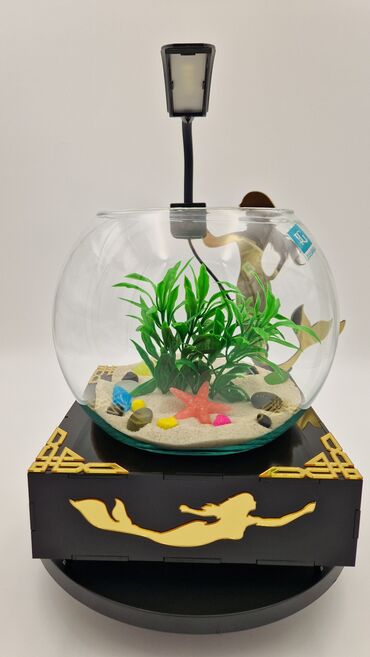 Akvariumlar: Yumru akvarium, Balıqlarla birlikdə, 3 l, Pulsuz çatdırılma — 3