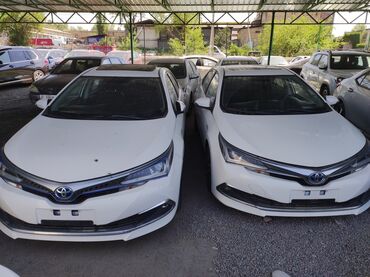 Toyota: Toyota Corolla: 2019 г., 1.8 л, Автомат, Гибрид, Седан