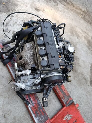моновпрыск на гольф 3: Бензиндик кыймылдаткыч Honda 2001 г., 1.7 л, Колдонулган, Оригинал, Германия