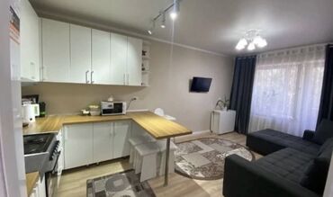 квартира аоенды: Студия, Риэлтор, Без подселения, С мебелью полностью