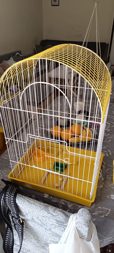fotelje za pse: Kavez za ptice. Uz kavez ide ljuljaska i 3 posudice za hranu