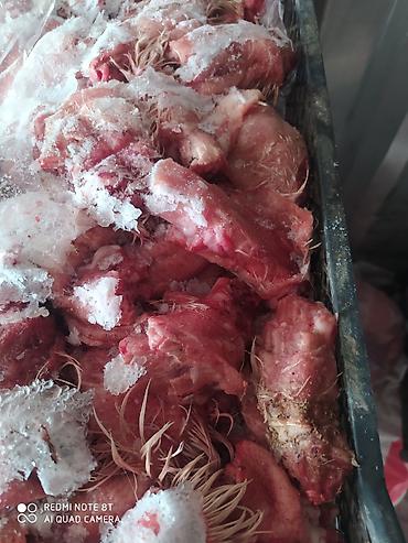 куриные ноги: Замороженные куриные субпродукты - Куриные лапы. Подходят для — 3