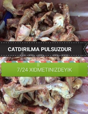 it ucun bit dermani: It yemi 🚷 ✅heyvanlar üçün nəzərdə tutulub satılır, ❌i̇nsan qi̇dasi