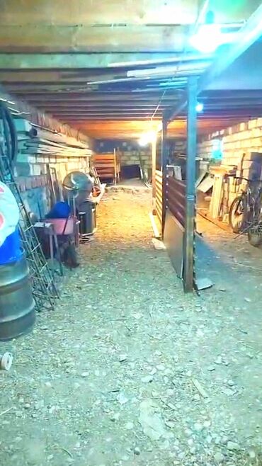 Həyət evləri və villaların satışı: 3 otaqlı, 670 kv. m, Kredit yoxdur, Orta təmir — 38