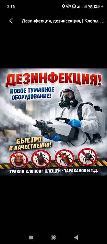 тараканов: Дезинфекция, дезинсекция, | Тараканы, | Офисы — 1