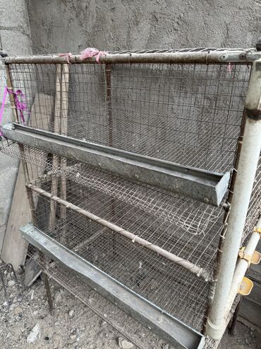Товары и оборудование для с/х животных: Продается клетка для перепел — 7