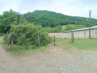 cıxarış nədir: 3 sot, Tikinti, Mülkiyyətçi, Kupça (Çıxarış) — 2