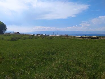 иссык куль снять жилье: 15 соток, Красная книга