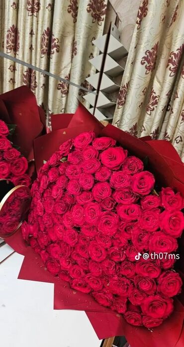 отдых на ысык кол: Срочно квартирага балдар керек