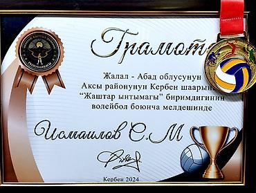 награды: Грамоты, дипломы, сертификаты с рамкой и без с Вашим текстом! Дизайн — 3