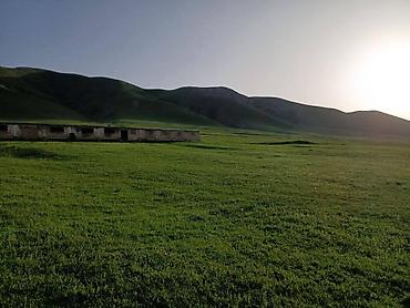 Farm КРС, 50 соток, Действующий, Без оборудования, Электричество, Холодная вода