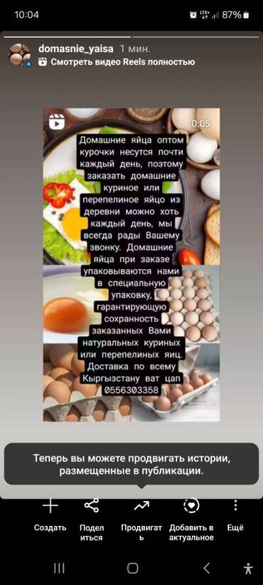 яйца: Домашние яйца оптом курочки несутся почти каждый день, поэтому