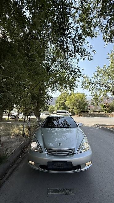 замок ачкыч: Lexus ES: 2003 г., 3 л, Автомат, Бензин, Седан — 1