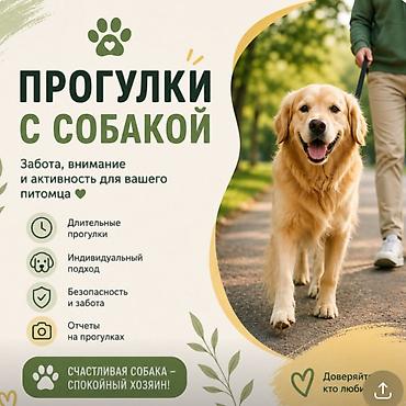 ВЫГУЛИВАЮ ваших домашних питомцев с любовью 🫶🫶 За 🕰️ час прогулки -