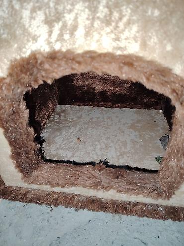 cucə yuvası: Pişik üçün oyun və istirahət kompleksi - Material: yumşaq plyuş/parça — 2