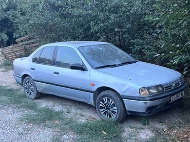 машина до 250000: Nissan Primera: 1993 г., 2 л, Механика, Бензин, Седан