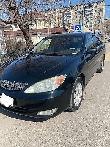 harrier 2003: Toyota Camry: 2003 г., 2.4 л, Автомат, Бензин, Седан — 2