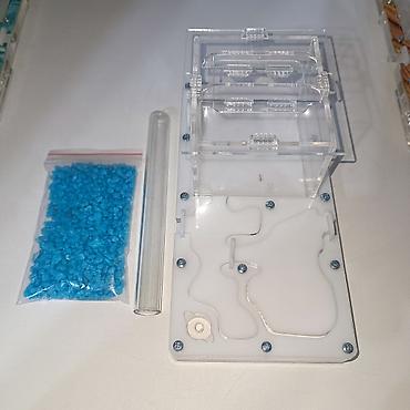 Другие животные: ‼️Колонии Муравьев с Формикариями разныные колоний большой выбор — 8