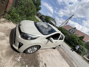 Kia: Kia Morning: 2019 г., 0.1 л, Автомат, Бензин, Хэтчбэк