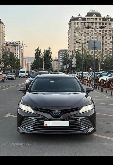 mark x: Toyota Camry Hybrid 
Работаем 24/7
возраст 16+ — 1