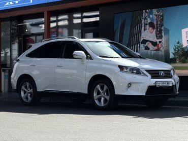 все для салонов красоты дордой: Lexus RX: 2010 г., 3.5 л, Автомат, Бензин, Кроссовер