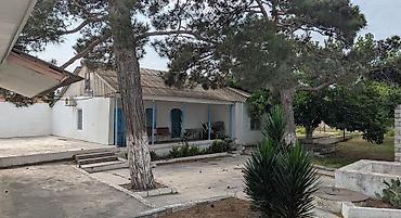 torpaa: 8 sot, Tikinti, Kupça (Çıxarış) — 1