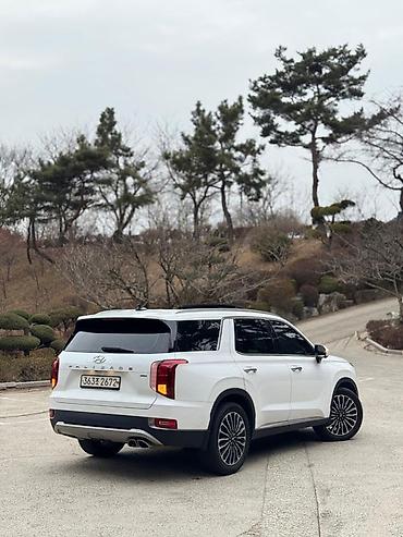 palisade: Hyundai Palisade: 2021 г., 2.2 л, Автомат, Дизель, Кроссовер — 2