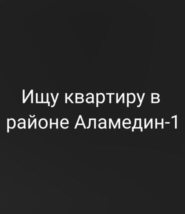 квартира с подселением каракол: 1 комната, Риэлтор, Без подселения