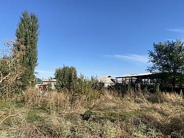 Продажа домов: Продается большой участок с времянкой Новопокровка, Район Нооруз — 5