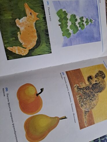 Digər kitablar və jurnallar: Большая энциклопедия начальной школы(полный курс начальной школьной -da lalafo.az — 5 Digər kitablar və jurnallar: Большая энциклопедия начальной школы(полный курс начальной школьной — 5