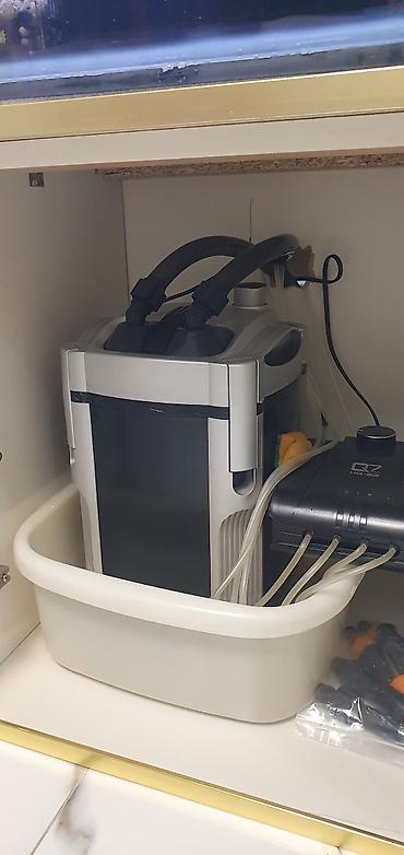 akvarium lampa: 450 litr həcmli böyük akvarium satılır. (2000₼ pul qoyulub) premium — 4
