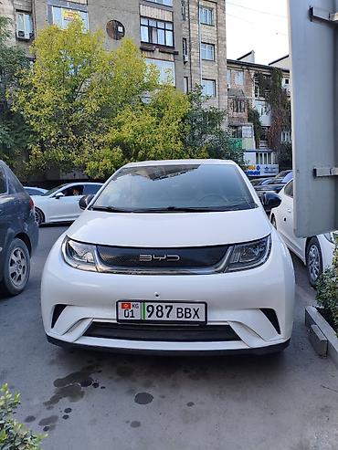 BYD: BYD Dolphin: 2022 г., Робот, Электромобиль, Хэтчбэк — 1