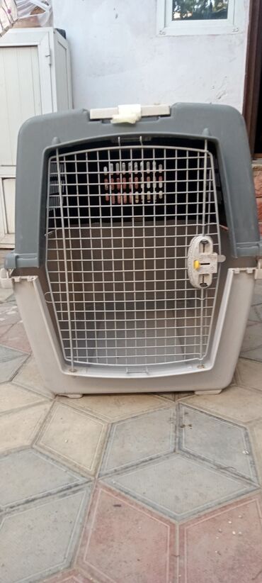 birə dərmanı: 🐾 Böyük itlər üçün daşınma qəfəsi — etibarlı, geniş və uçuşlar üçün