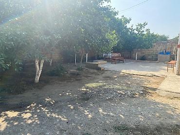 Torpaq sahələrinin satışı: 7 sot, Tikinti, Kupça (Çıxarış) — 5