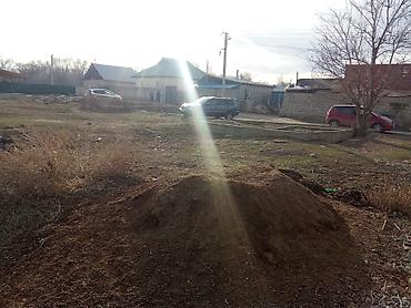 Продажа участков: 4 соток, Красная книга — 3